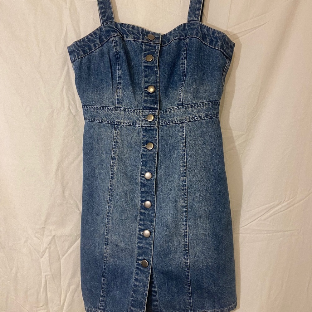 bb dakota denim button down dress